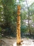 totem pole Two people in Love